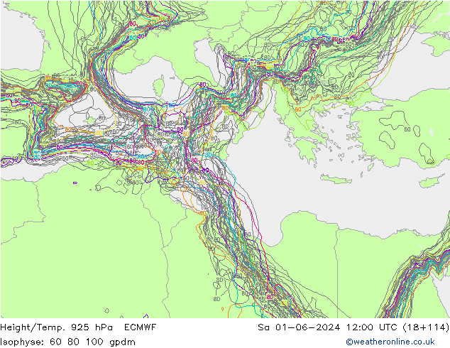 Height/Temp. 925 hPa ECMWF Sáb 01.06.2024 12 UTC