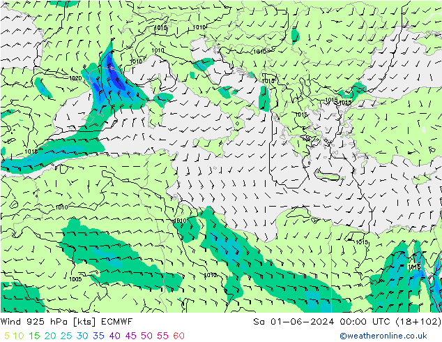 Wind 925 hPa ECMWF Sa 01.06.2024 00 UTC