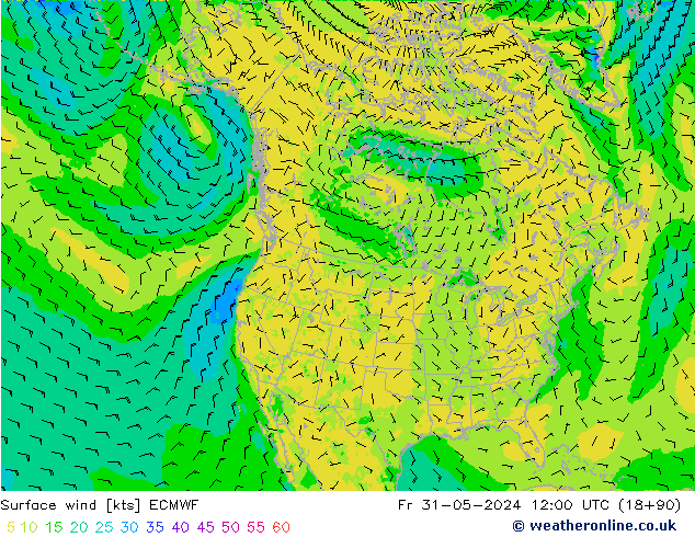 Surface wind ECMWF Fr 31.05.2024 12 UTC