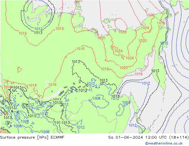 Pressione al suolo ECMWF sab 01.06.2024 12 UTC