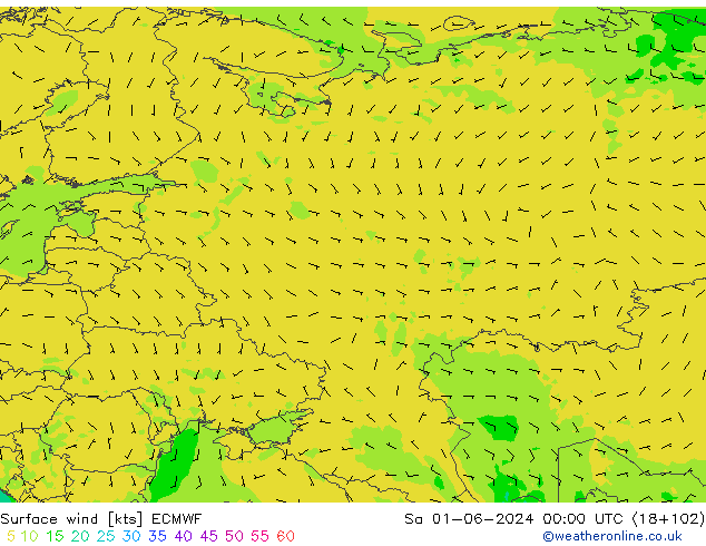 Vento 10 m ECMWF sab 01.06.2024 00 UTC