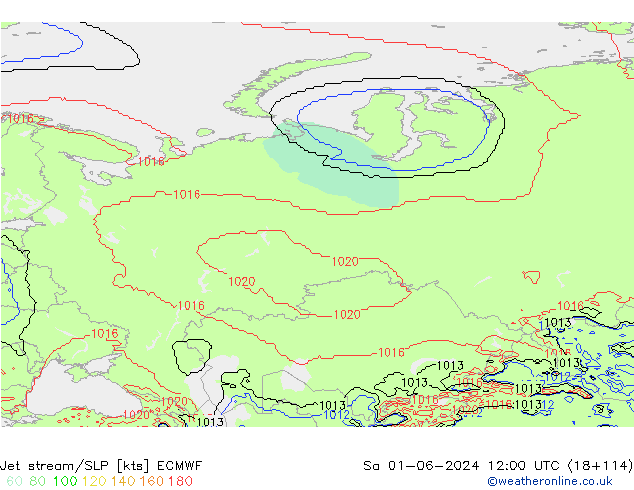 Jet Akımları/SLP ECMWF Cts 01.06.2024 12 UTC