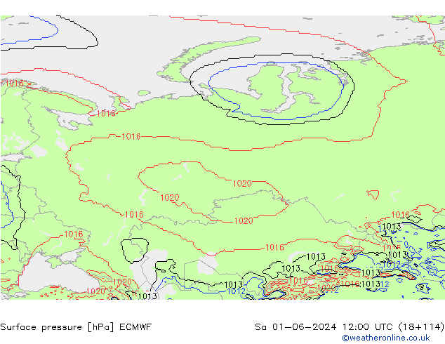 ciśnienie ECMWF so. 01.06.2024 12 UTC