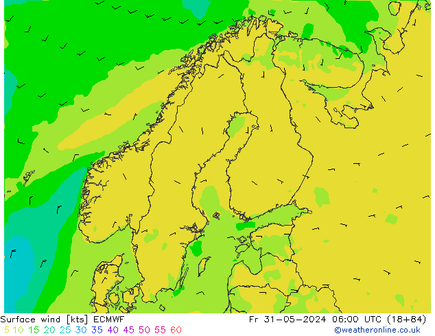Surface wind ECMWF Fr 31.05.2024 06 UTC