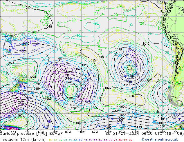 Izotacha (km/godz) ECMWF so. 01.06.2024 06 UTC