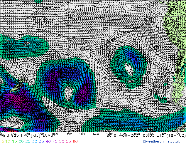 Wind 925 hPa ECMWF Sa 01.06.2024 00 UTC