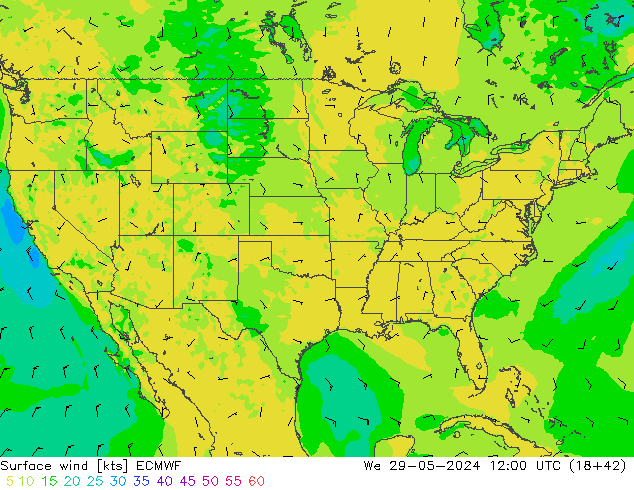 Wind 10 m ECMWF wo 29.05.2024 12 UTC