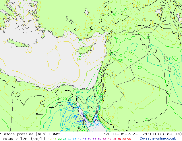 Isotachs (kph) ECMWF  01.06.2024 12 UTC