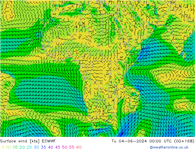 ветер 10 m ECMWF вт 04.06.2024 00 UTC