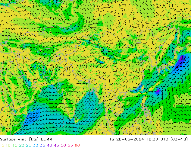 Surface wind ECMWF Tu 28.05.2024 18 UTC