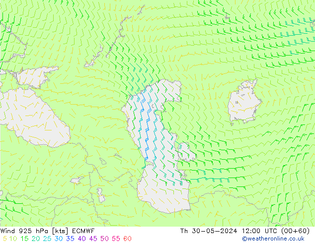 ветер 925 гПа ECMWF чт 30.05.2024 12 UTC