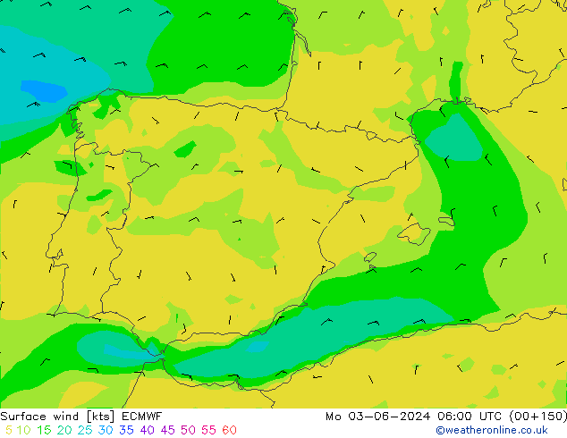 ветер 10 m ECMWF пн 03.06.2024 06 UTC