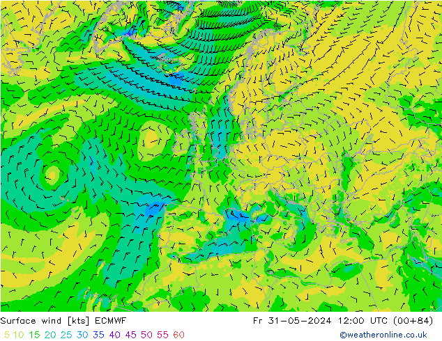  10 m ECMWF  31.05.2024 12 UTC