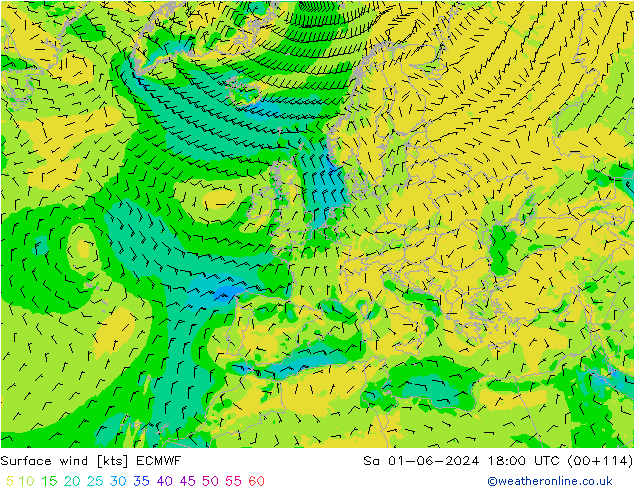 Rüzgar 10 m ECMWF Cts 01.06.2024 18 UTC