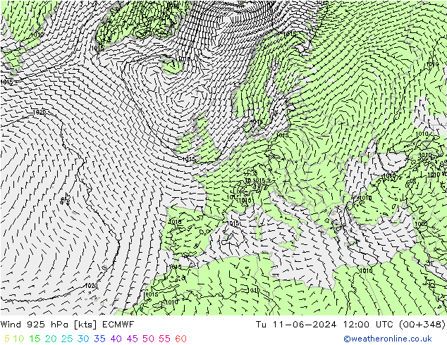 Wind 925 hPa ECMWF Tu 11.06.2024 12 UTC