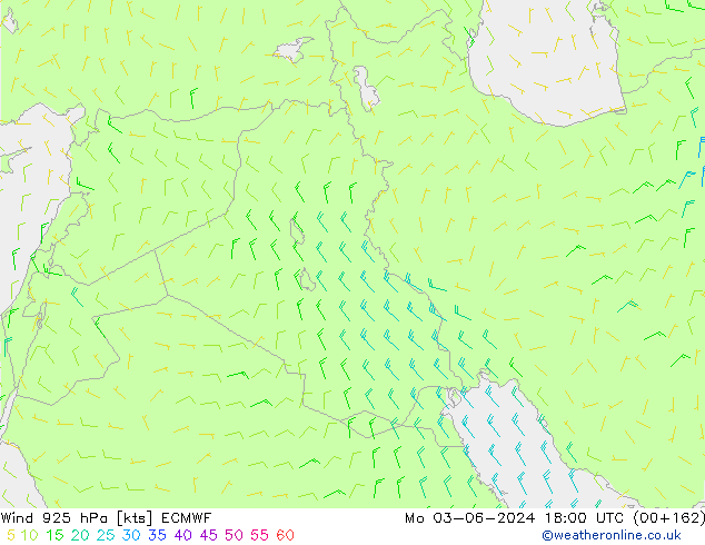 ветер 925 гПа ECMWF пн 03.06.2024 18 UTC