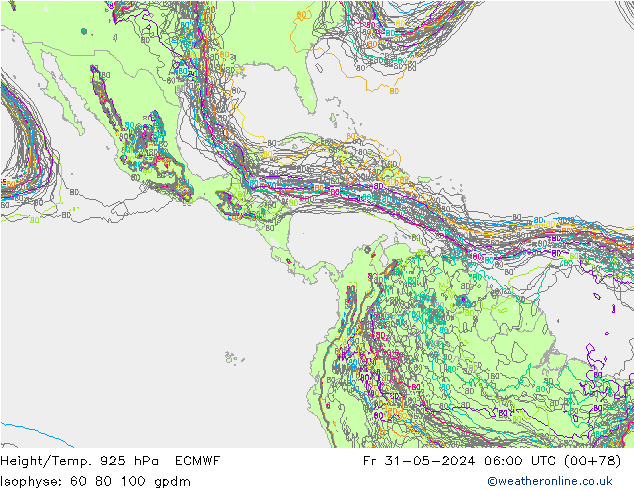 Height/Temp. 925 hPa ECMWF pt. 31.05.2024 06 UTC