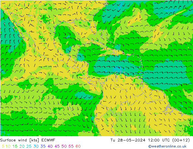 ветер 10 m ECMWF вт 28.05.2024 12 UTC