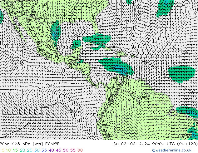 Wind 925 hPa ECMWF Ne 02.06.2024 00 UTC