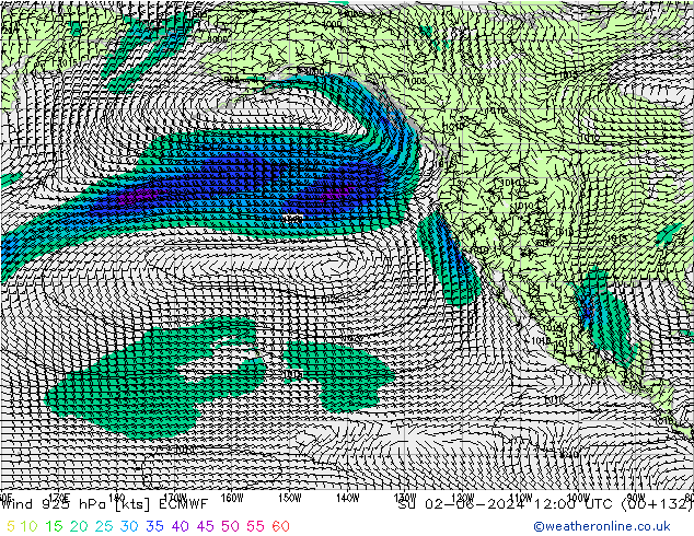 Wind 925 hPa ECMWF Ne 02.06.2024 12 UTC