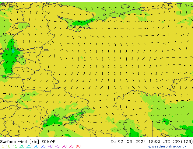 Bodenwind ECMWF So 02.06.2024 18 UTC