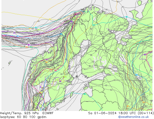 Height/Temp. 925 гПа ECMWF сб 01.06.2024 18 UTC