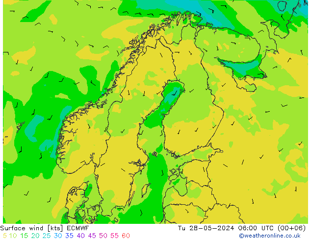 Surface wind ECMWF Út 28.05.2024 06 UTC