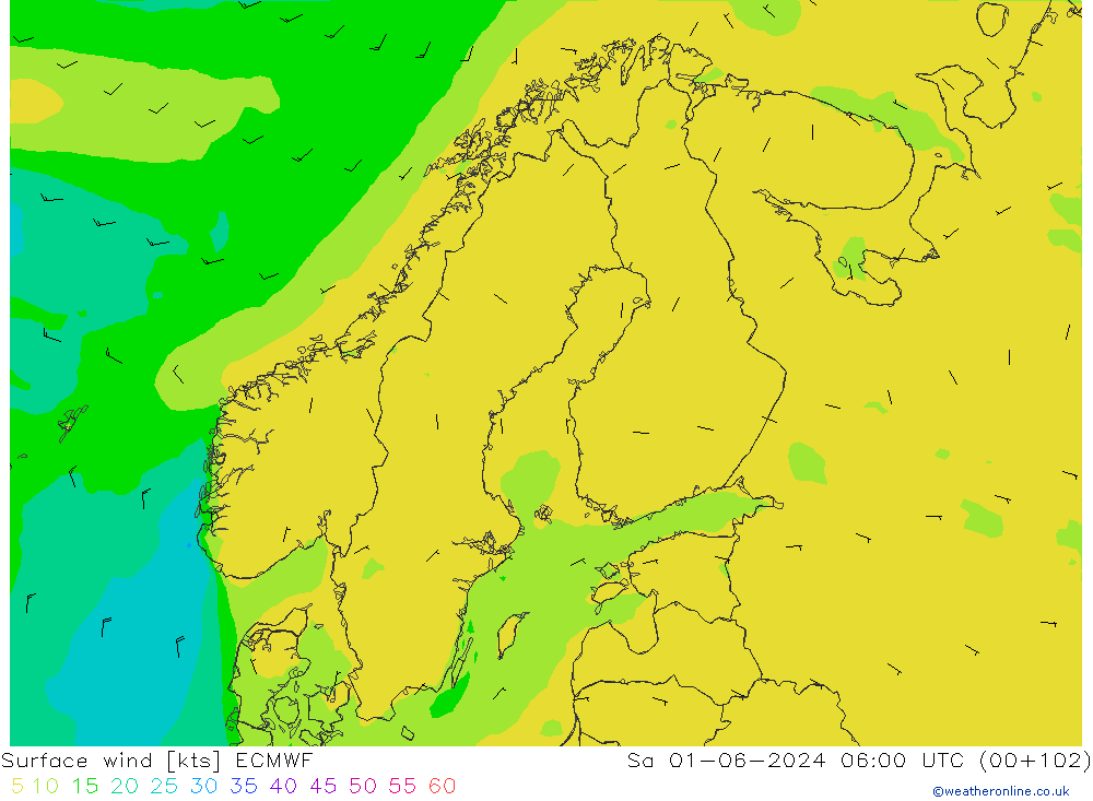 Surface wind ECMWF Sa 01.06.2024 06 UTC