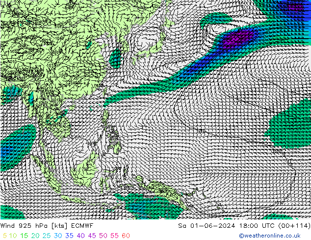 Vent 925 hPa ECMWF sam 01.06.2024 18 UTC