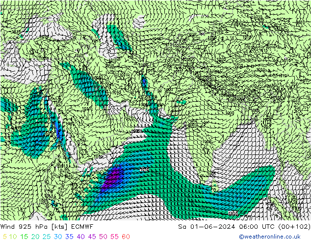 Wind 925 hPa ECMWF So 01.06.2024 06 UTC