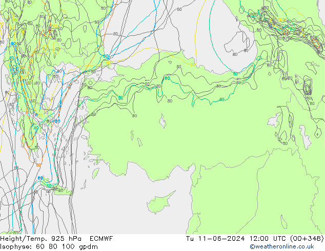 Height/Temp. 925 hPa ECMWF wto. 11.06.2024 12 UTC