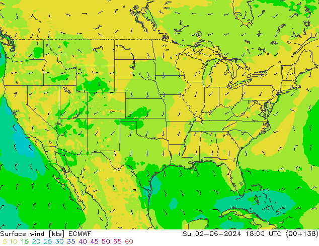 Surface wind ECMWF Su 02.06.2024 18 UTC