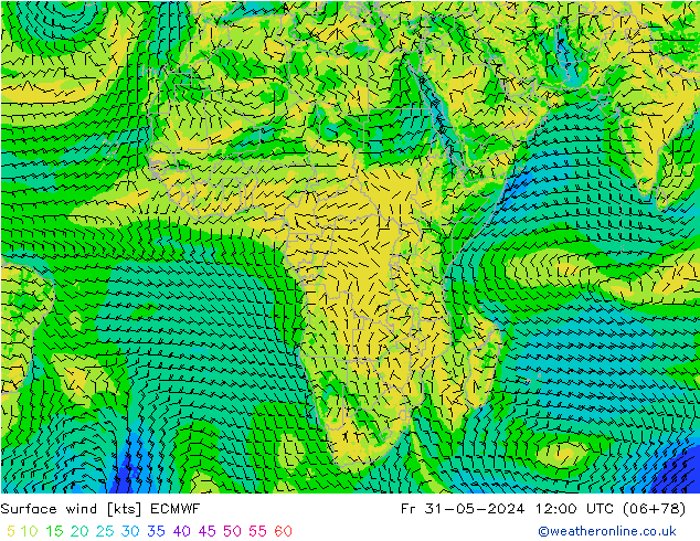 Bodenwind ECMWF Fr 31.05.2024 12 UTC