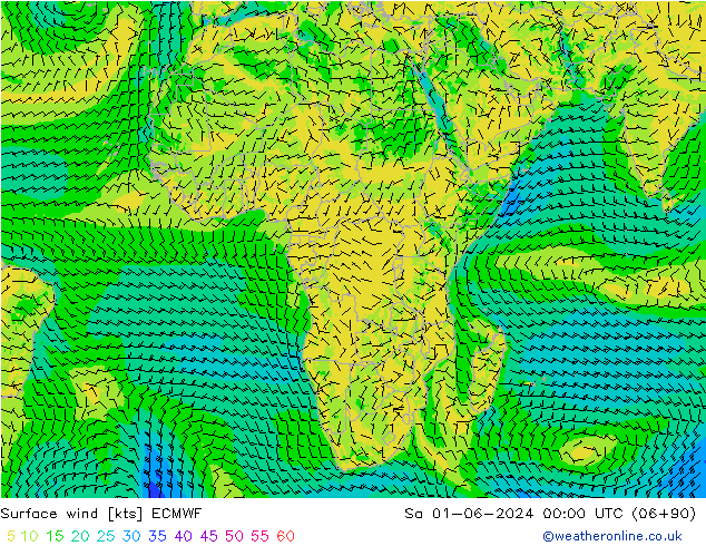 ветер 10 m ECMWF сб 01.06.2024 00 UTC