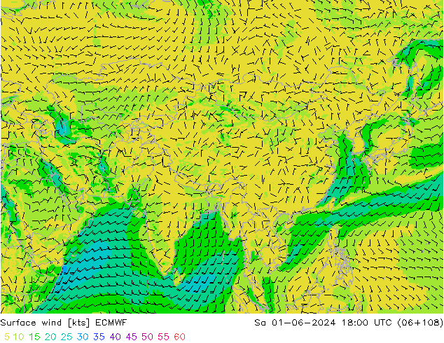 Vento 10 m ECMWF sab 01.06.2024 18 UTC