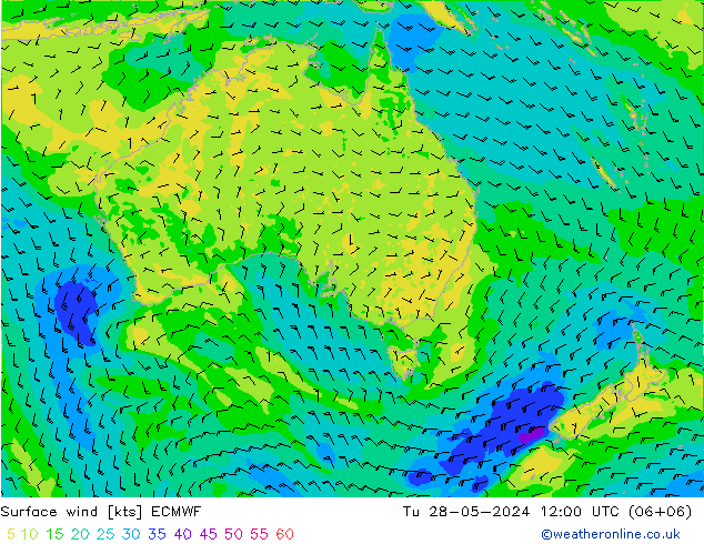 Surface wind ECMWF Tu 28.05.2024 12 UTC