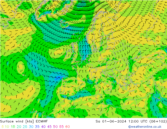 Bodenwind ECMWF Sa 01.06.2024 12 UTC