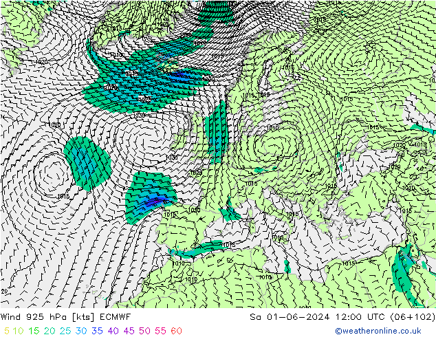 Wind 925 hPa ECMWF Sa 01.06.2024 12 UTC