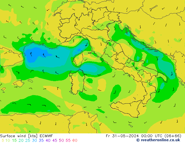  10 m ECMWF  31.05.2024 00 UTC