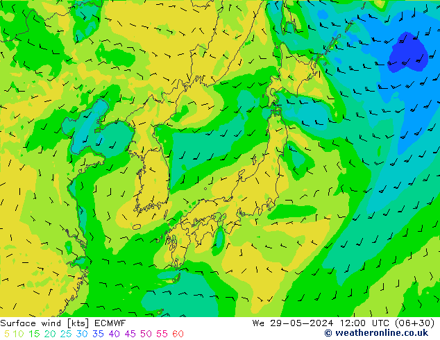 Surface wind ECMWF We 29.05.2024 12 UTC