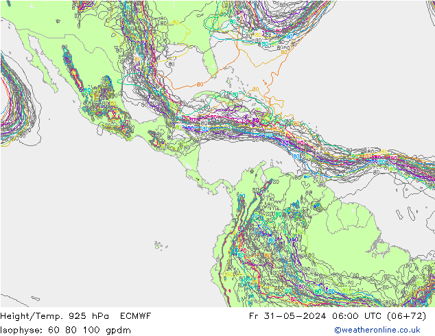 Height/Temp. 925 hPa ECMWF pt. 31.05.2024 06 UTC