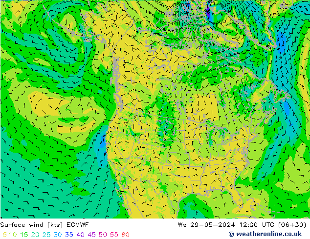 Surface wind ECMWF We 29.05.2024 12 UTC