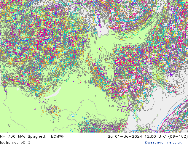 Humedad rel. 700hPa Spaghetti ECMWF sáb 01.06.2024 12 UTC