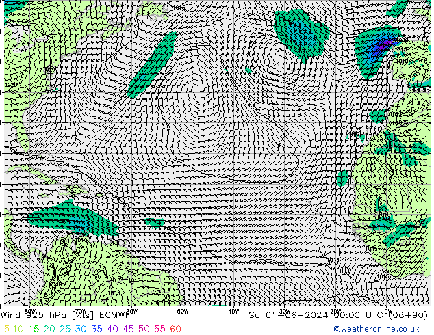 Wind 925 hPa ECMWF Sa 01.06.2024 00 UTC