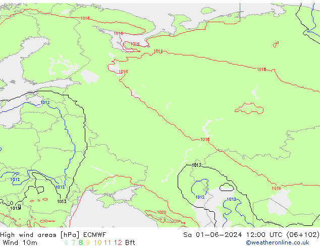 High wind areas ECMWF сб 01.06.2024 12 UTC
