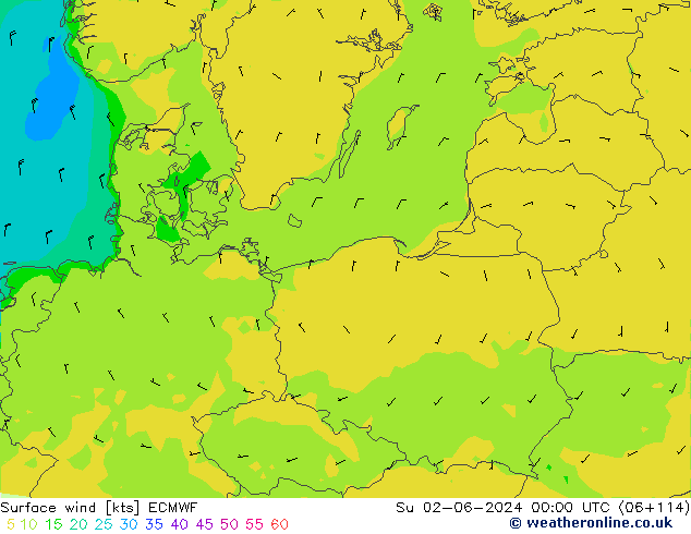  10 m ECMWF  02.06.2024 00 UTC