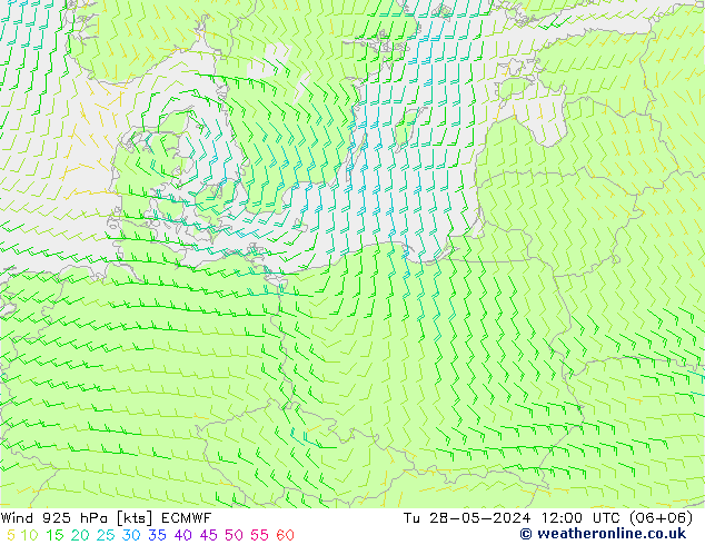 ветер 925 гПа ECMWF вт 28.05.2024 12 UTC