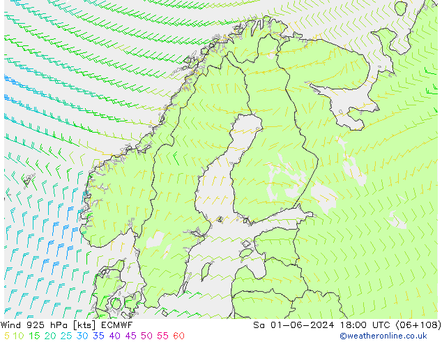 ветер 925 гПа ECMWF сб 01.06.2024 18 UTC