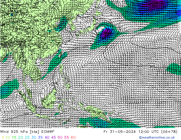 Wind 925 hPa ECMWF vr 31.05.2024 12 UTC