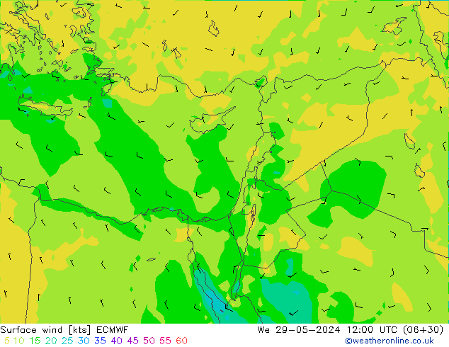 ветер 10 m ECMWF ср 29.05.2024 12 UTC